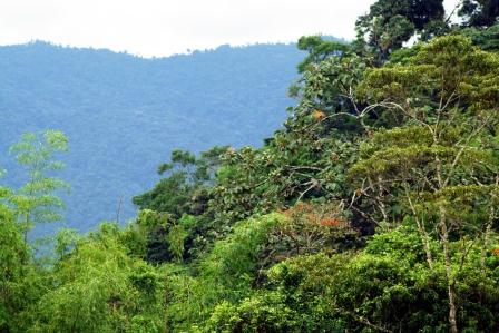 Parque Botánico de Sucúa